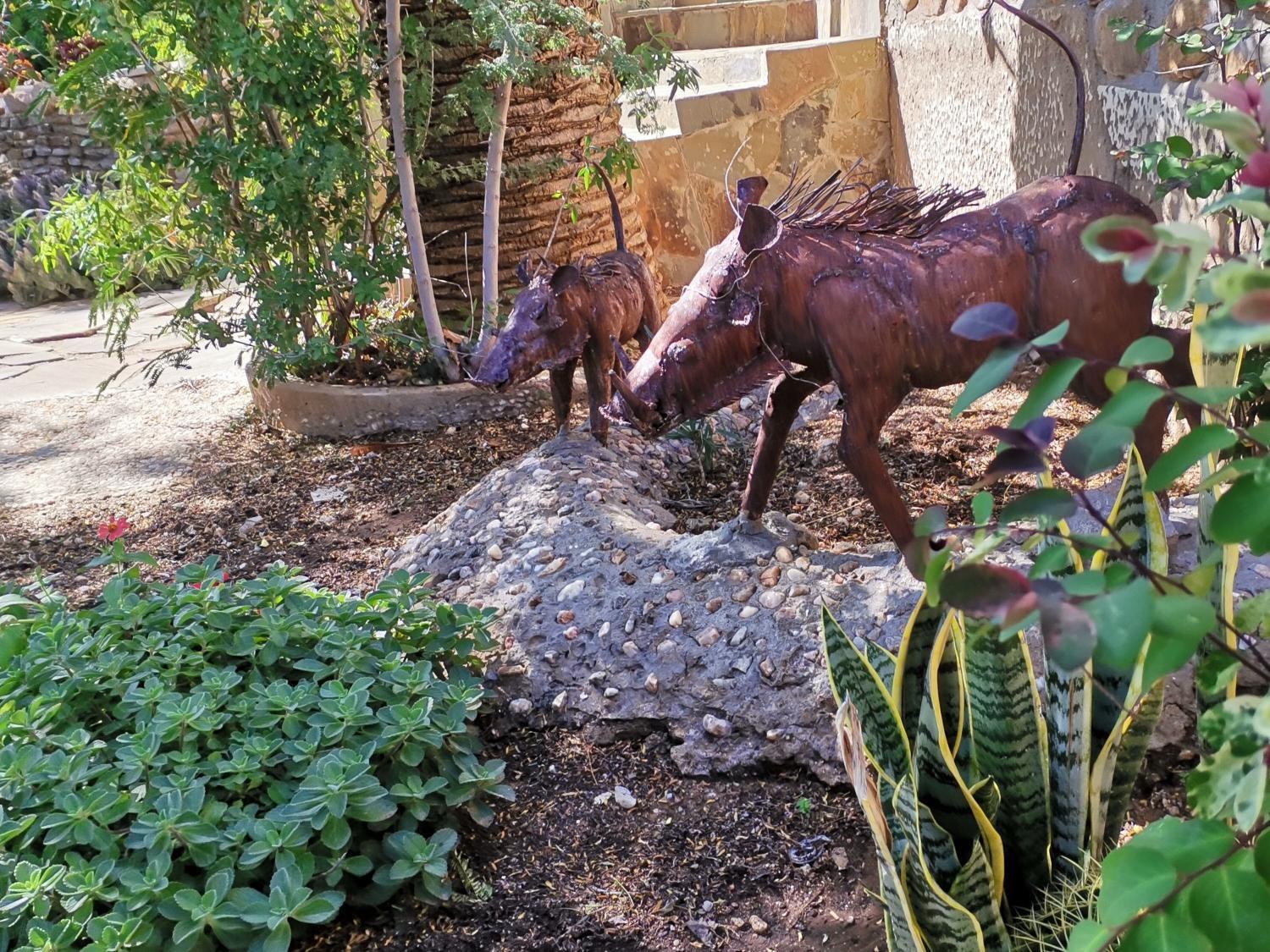 Guesthouse Terra Africa Windhoek Luaran gambar